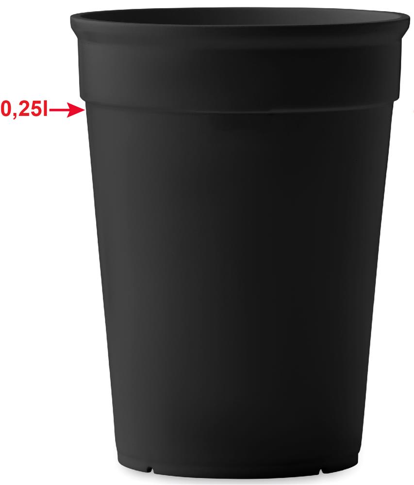 Tył